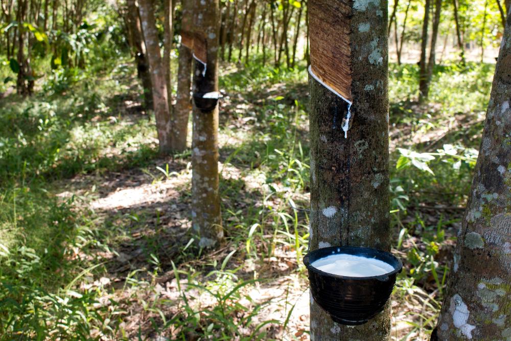 100% Pure Virgin Latex